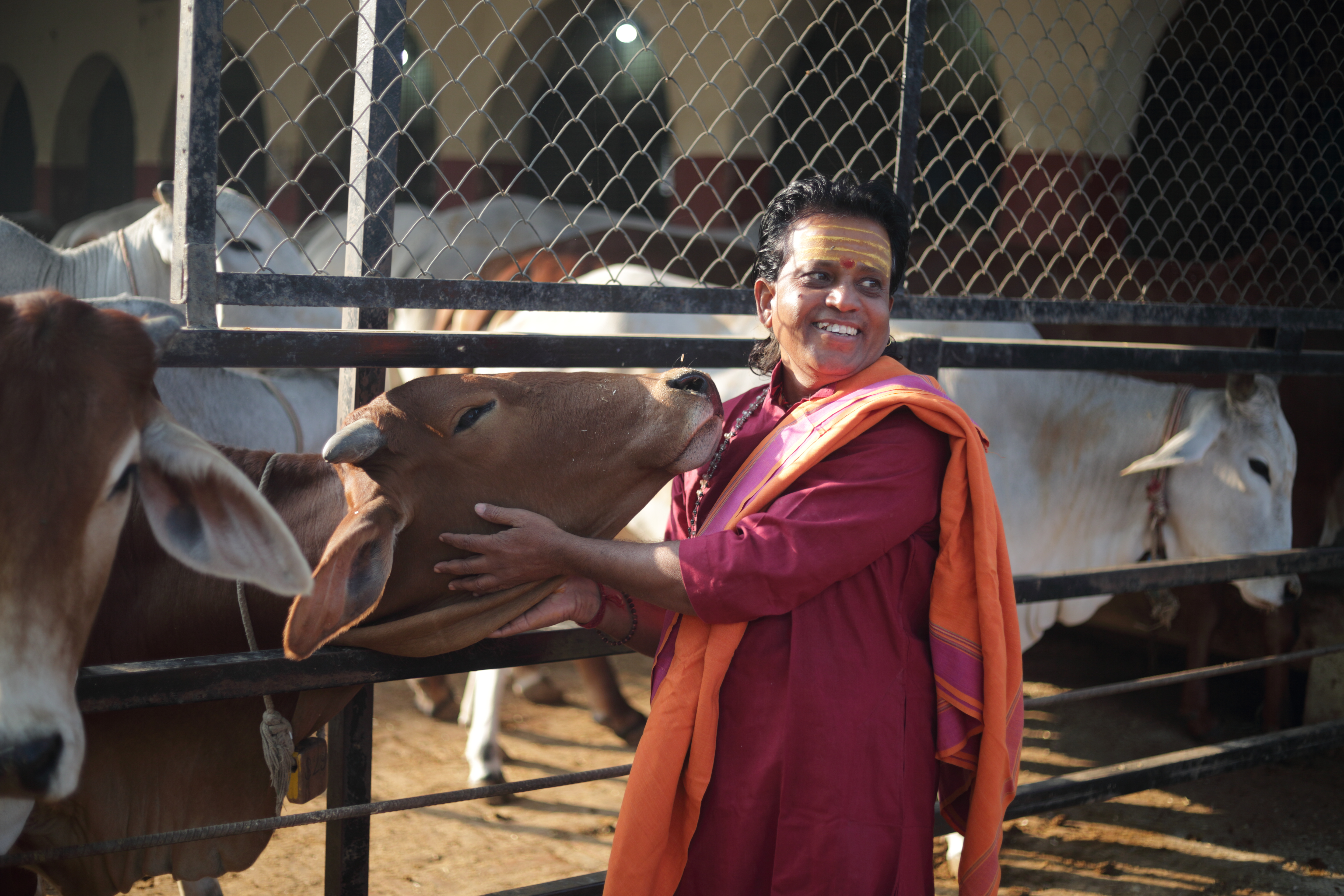 Swami Ji with Gau Mata