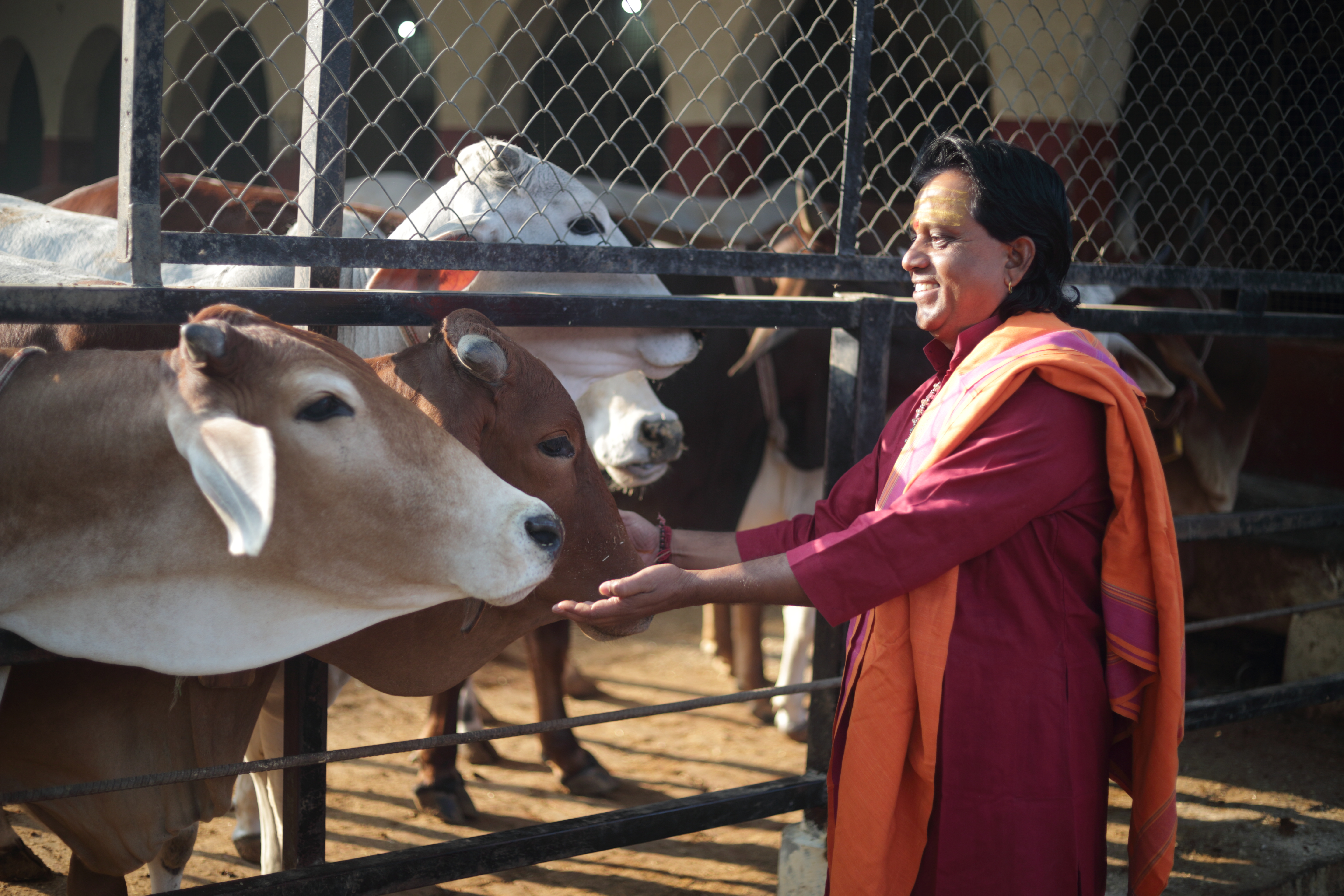 गौशाला
