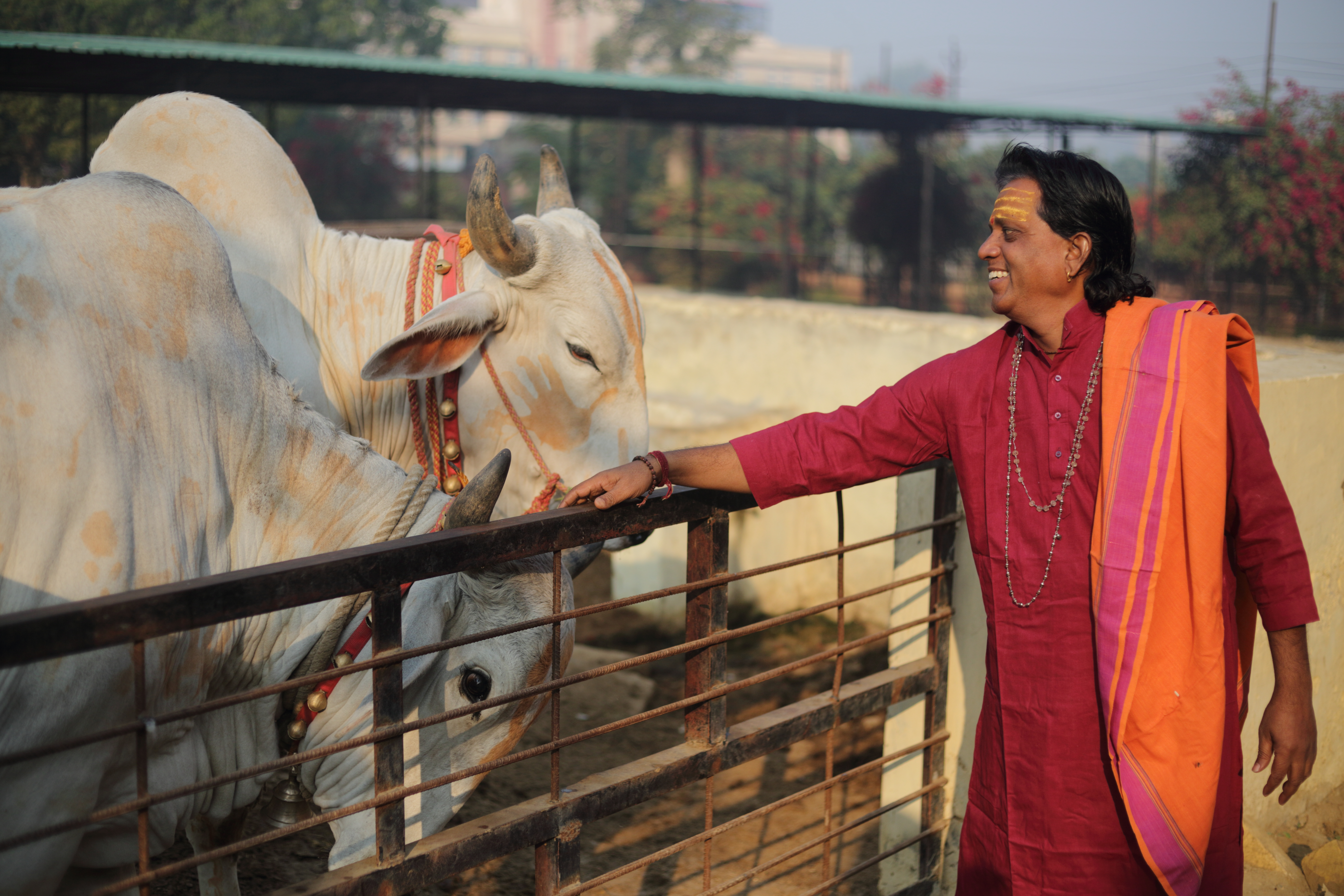 गौशाला सेवा