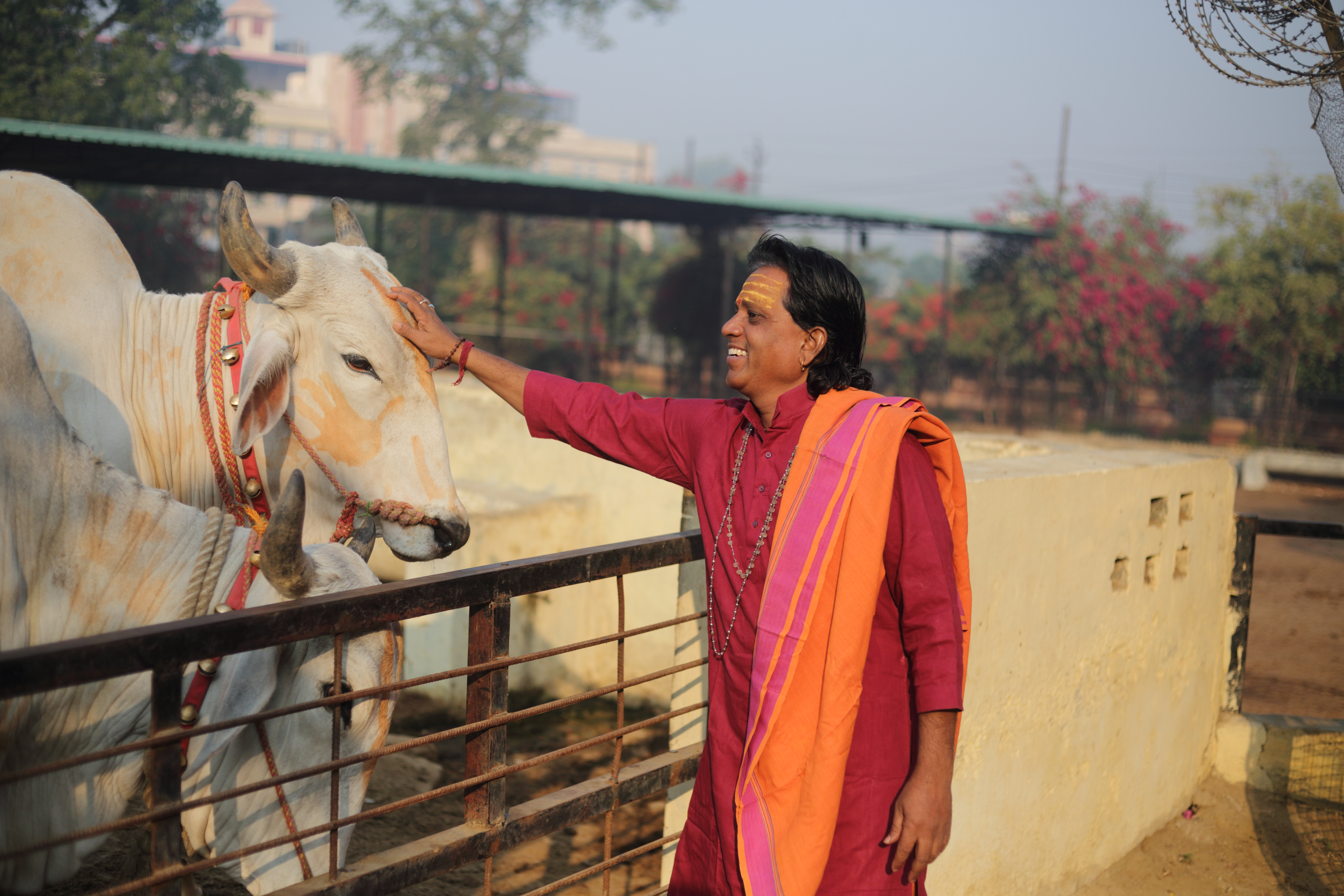 गौशाला
