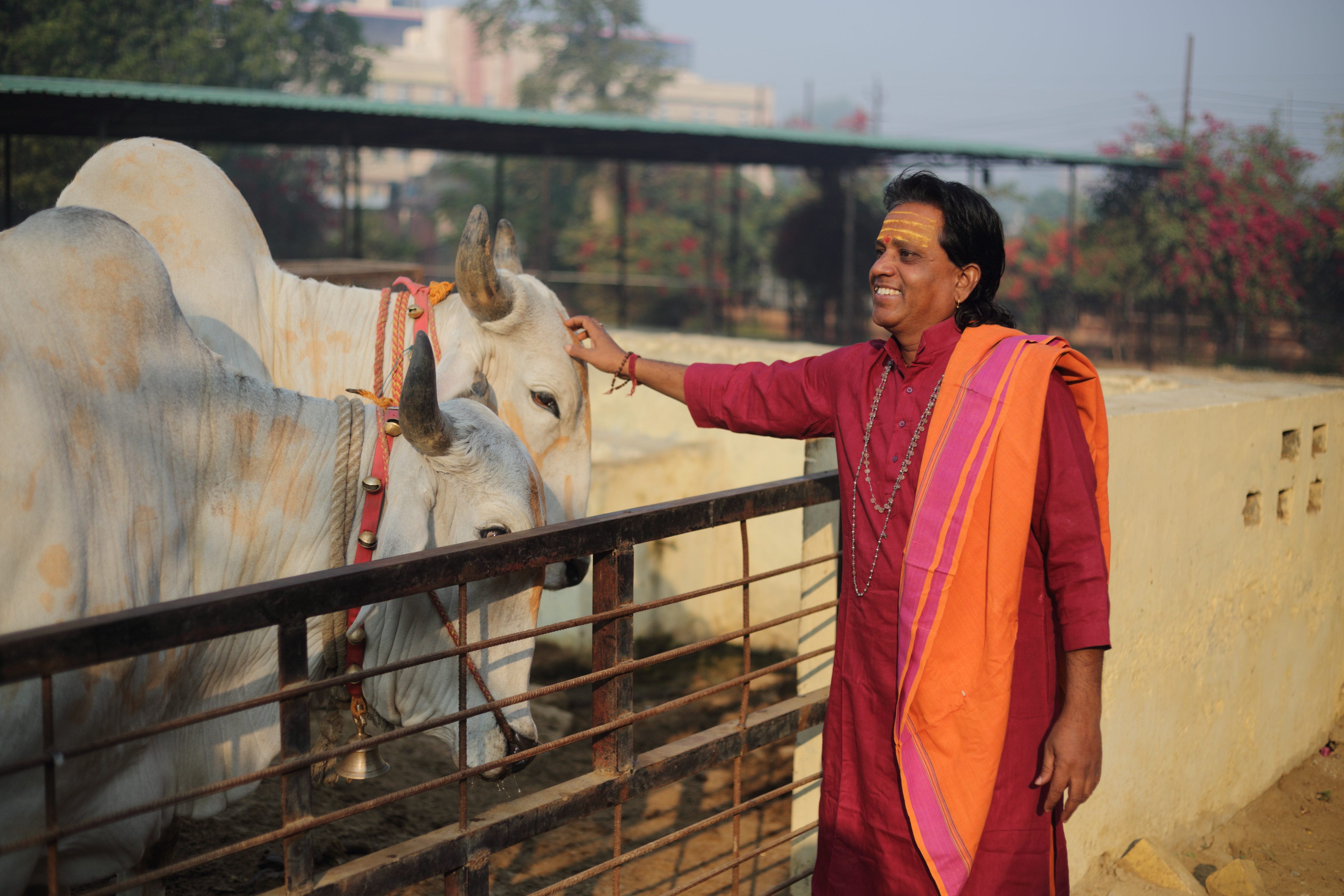 गौ सेवा