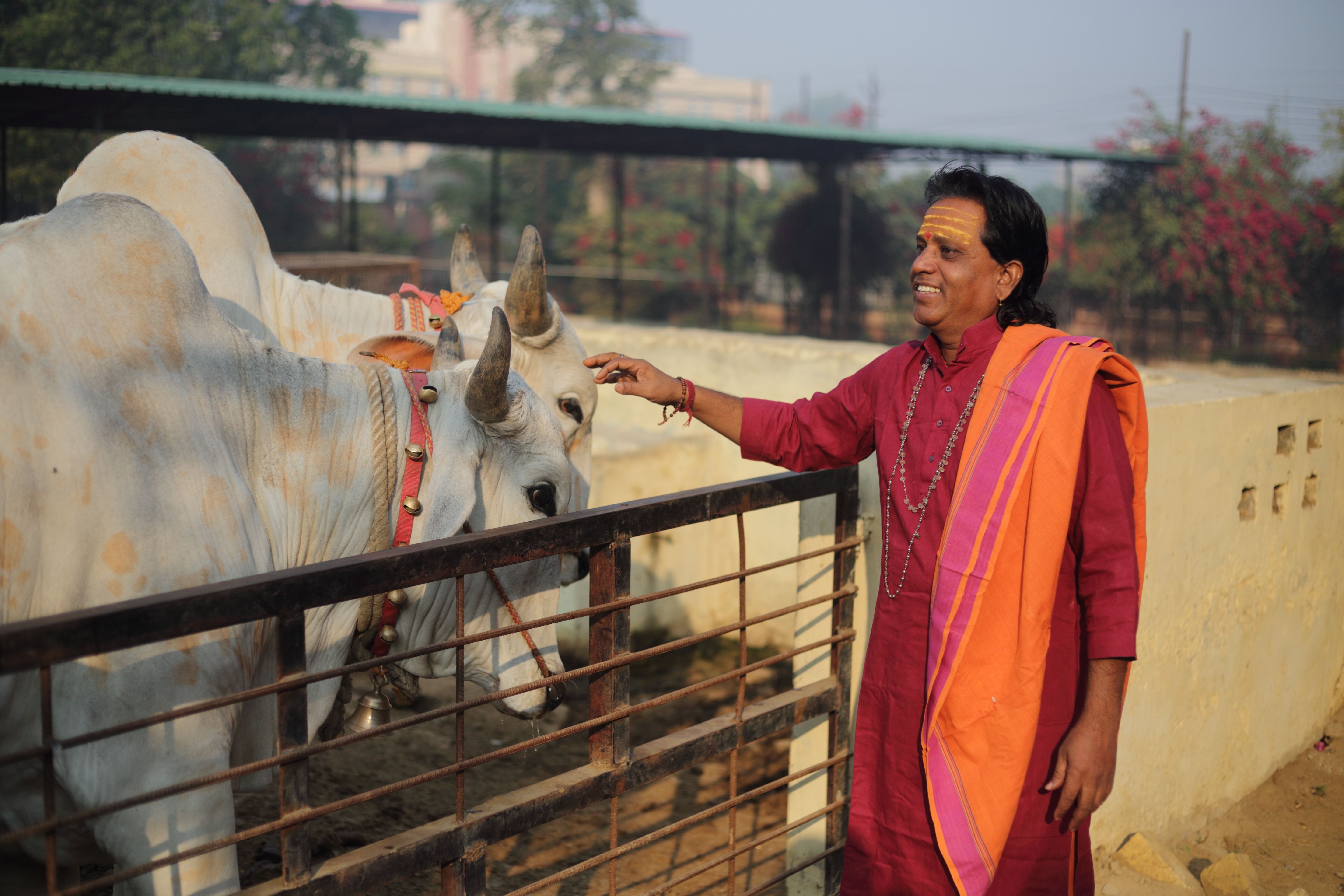 गौ माता के संग