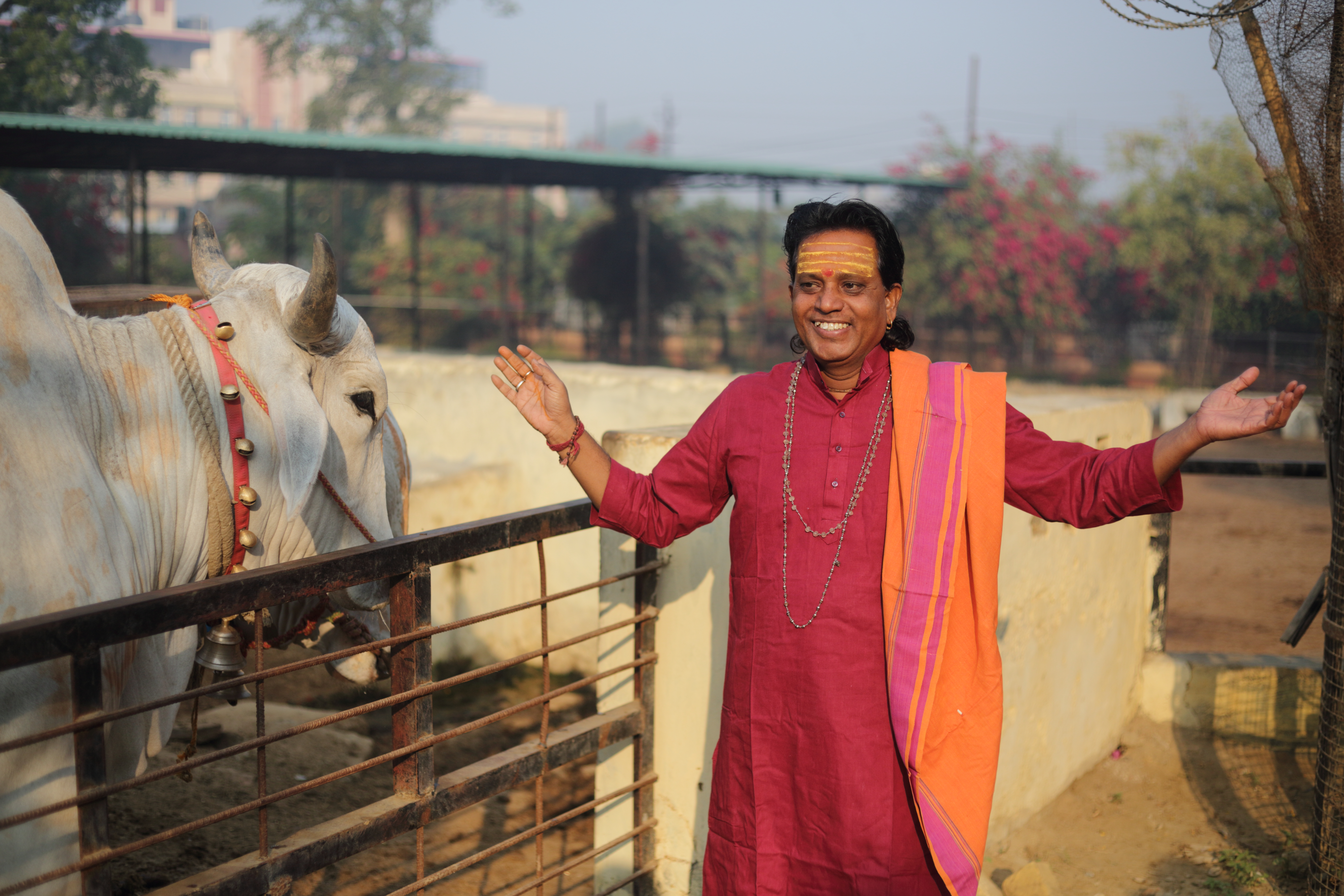 सरसों के खेत में