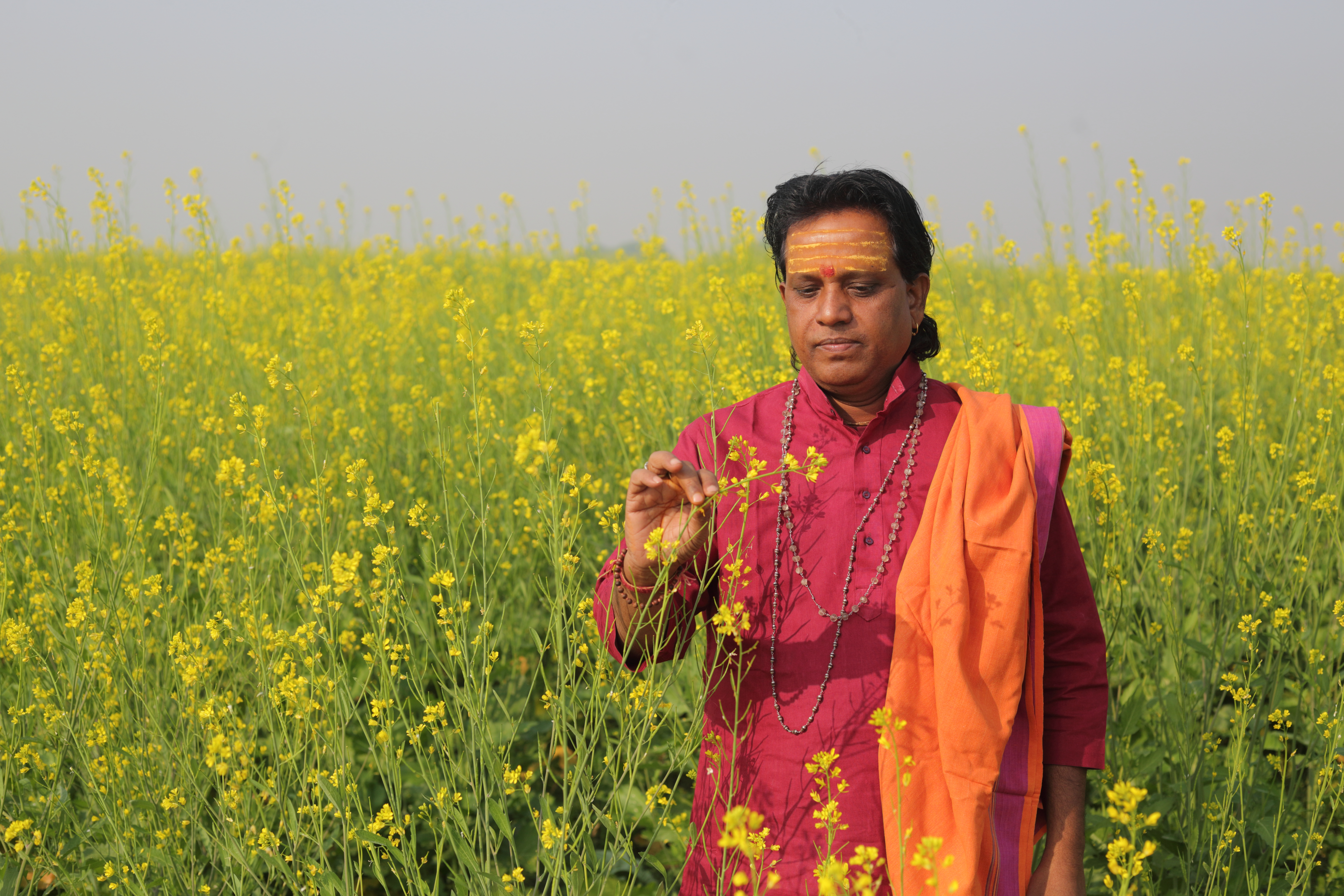 गौ माता के संग