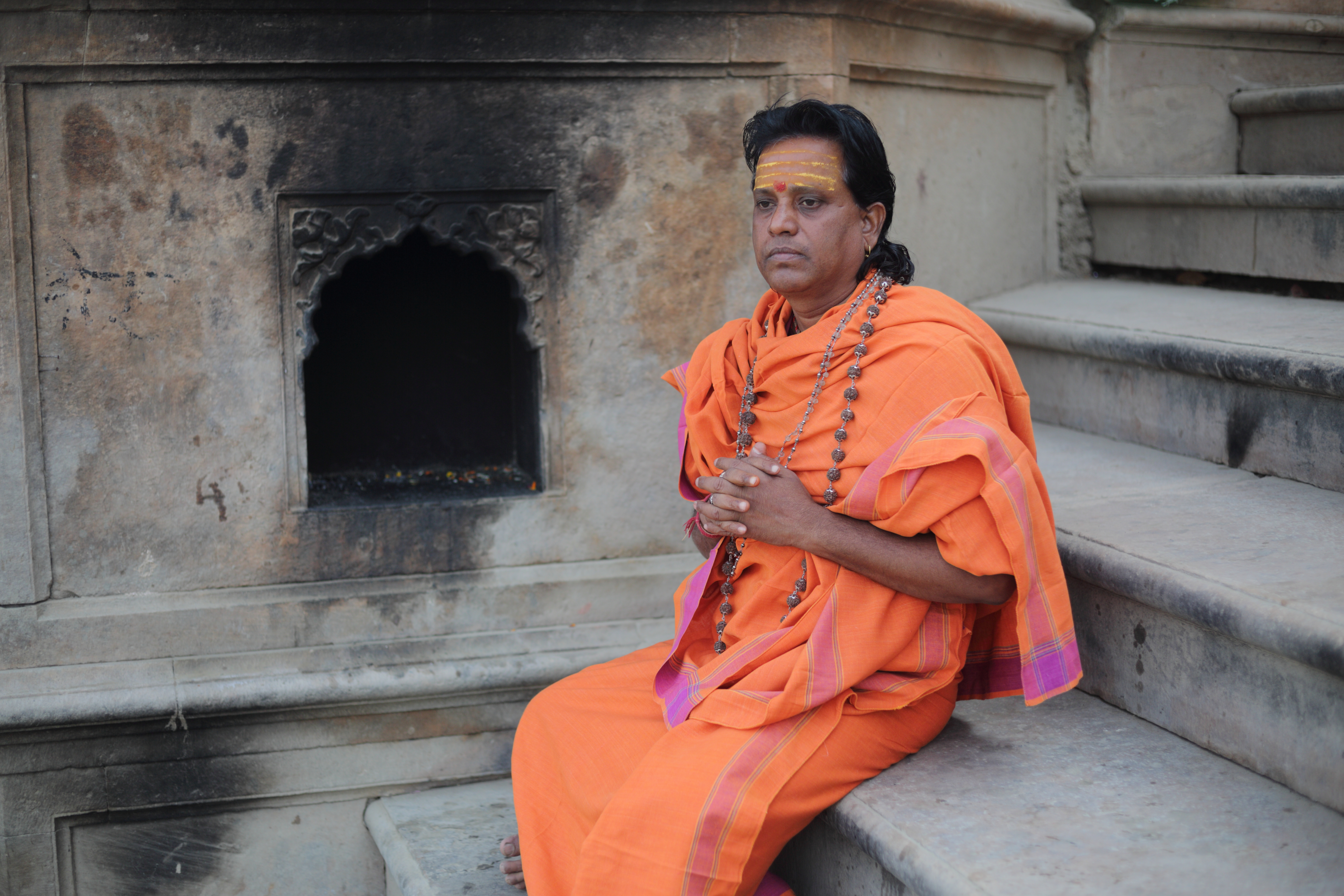 सरसों के खेत में